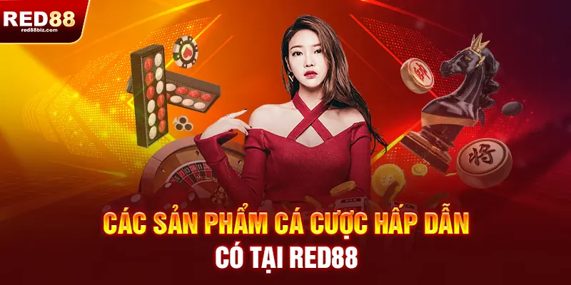 Sản phẩm hấp dẫn