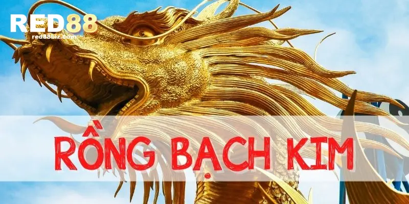 Hình thức chơi lô đề rồng bạch kim tạo cơ hội thắng lớn