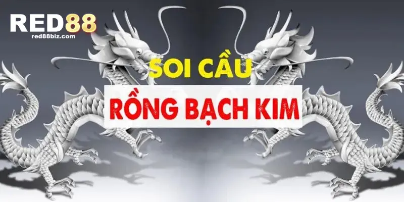 Thời gian nuôi dàn đề rồng bạch kim hiệu quả nhất trong vòng một tuần