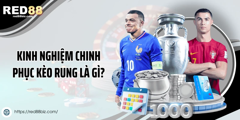 Kinh nghiệm cao thủ chinh phục kèo rung là gì?