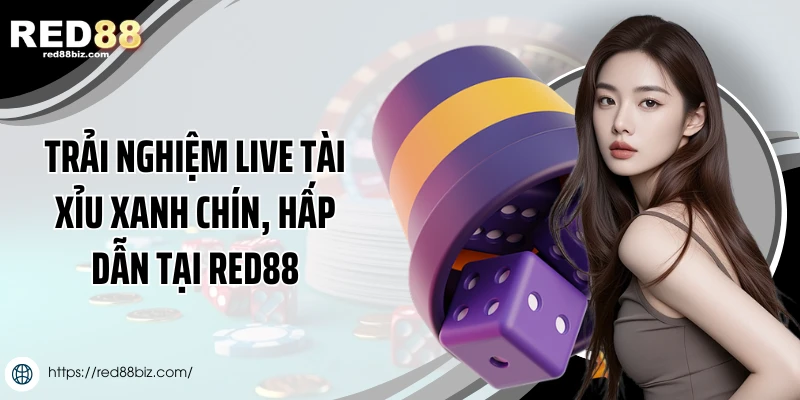 Trải nghiệm live tài xỉu xanh chín, hấp dẫn tại Red88